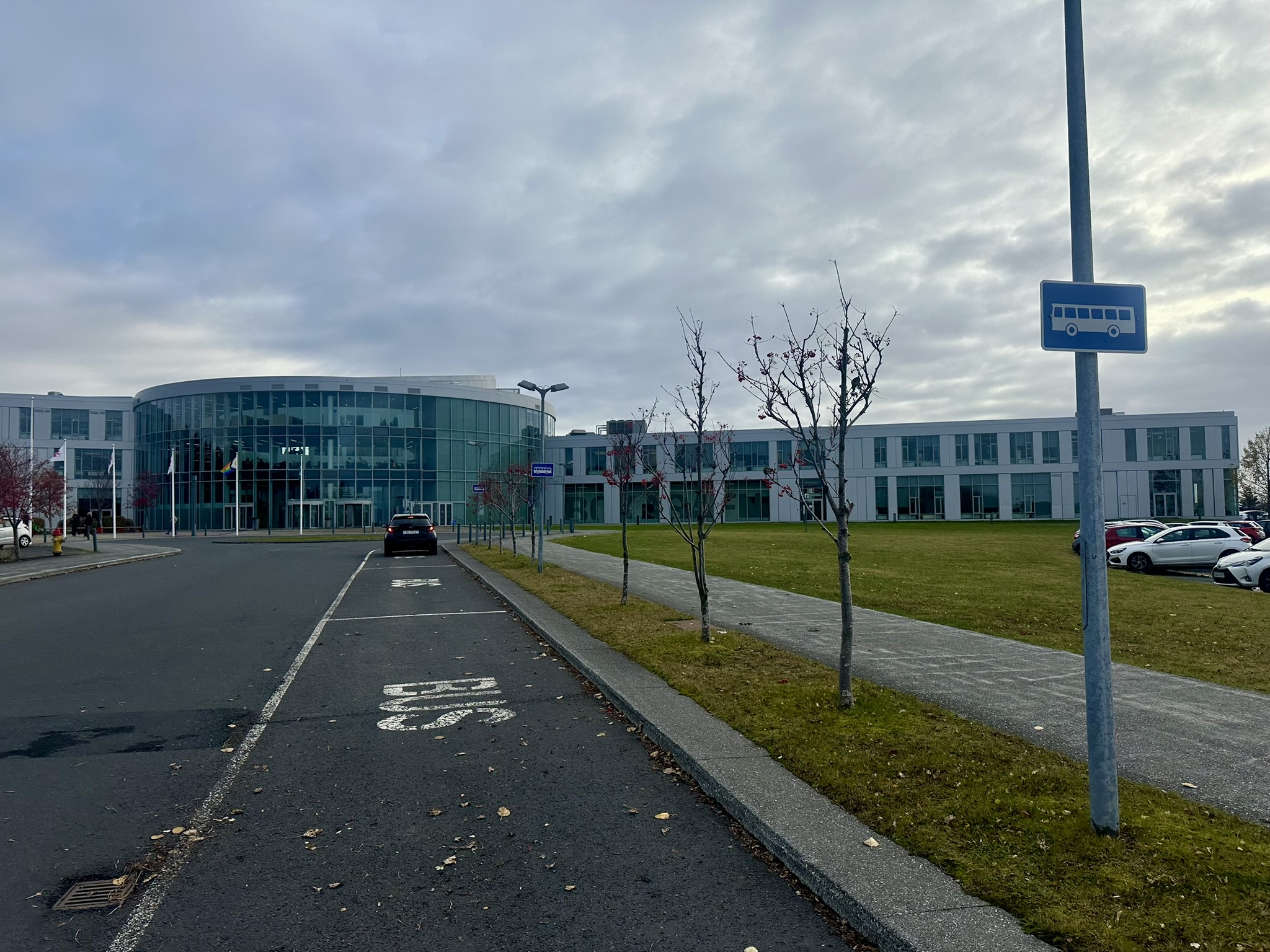 Háskólinn í Reykjavík